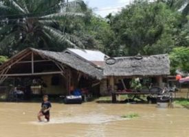 Sungai Keureuto Meluap, Belasan Desa di Aceh Utara Digenangi Air