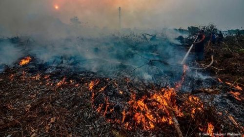 Walhi: Omnibus Law Kesampingkan Sanksi Hukum Pembakar Hutan