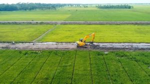 Pakar Tekankan Ketahanan Pangan di Masa Pandemi