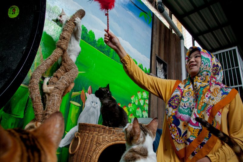 Dr Natalina saat bermain dengan kucing-kucing piaraannya. (Foto/Oviyandi Emnur)