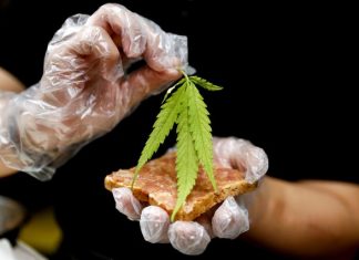 GANJA 6