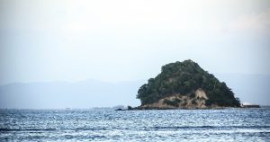 Pulau Tuan Ujong Pancu