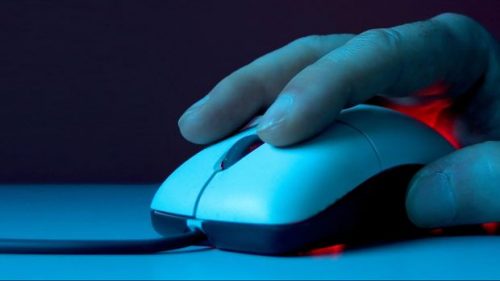 mouse