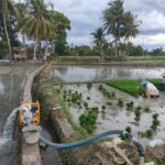 IMG 20241112 WA00042