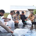 WhatsApp Image 2024 11 12 at 14 31 43