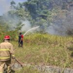 Petugas Damkar Aceh Besar memadamkan api karhutla di Kecamatan Leupung. Foto: Dok BPBD Aceh Besar