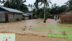 Rumah warga di Desa Jambo Papan, Kecamatan, Kluet Tengah, Aceh Selatan terendam banjir akibat luapan Sungai Manggamat. (Foto: dok BPBA)
