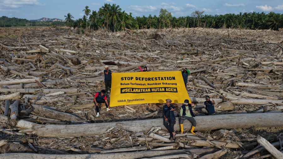 Yayasan HAkA kampanyekan stop deforestasi